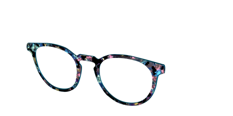 The Black Prismatic Pearl Tortoise