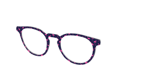 The Navy Flamingos