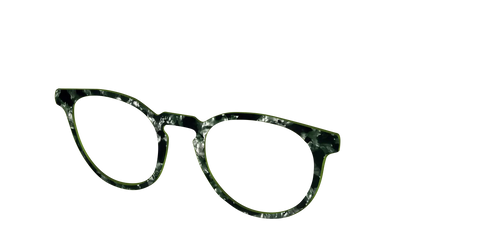 The Olive Pearl Tortoise
