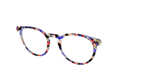 The Tempo Tortoise