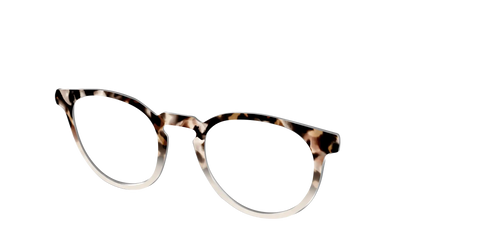 The Vanilla Latte Tortoise
