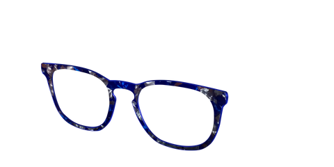 The Admiral Blue Pearl Tortoise
