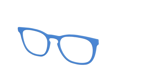 The Cornflower Blue