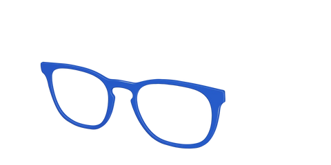 The Indigo