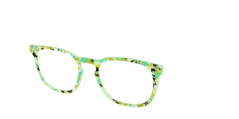 The Matcha Pearl Tortoise