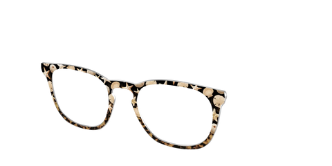 The Ocean Treasures Tortoise