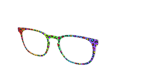 The Rainbow Cheetah