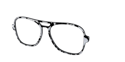 The Black & White Pearl Tortoise