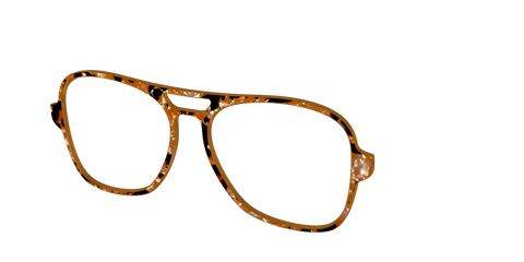 The Caramel Pearl Tortoise