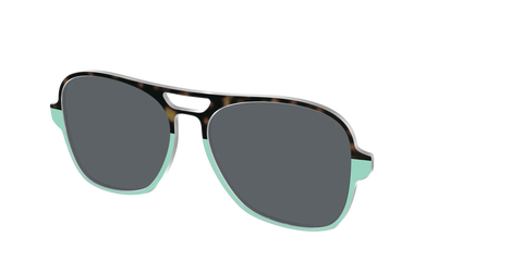 The Polarized Matcha Split Sun Top