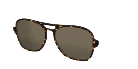 The Polarized Tortoise Sun Top