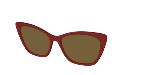 The Polarized Burgundy Sun Top