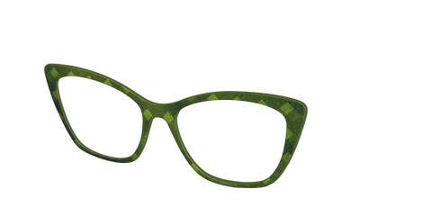 The Olive Geo