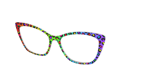 The Rainbow Cheetah