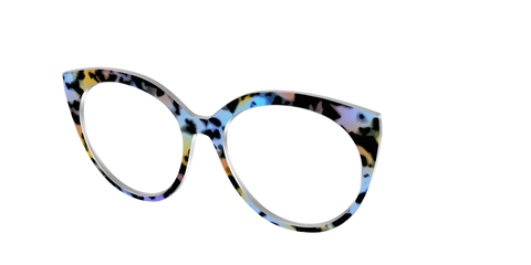 The Positano Tortoise