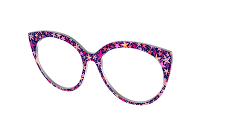 The Sensational Starfish