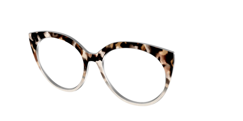The Vanilla Latte Tortoise